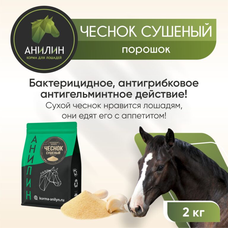 Чеснок порошок 1