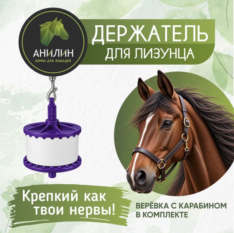Держатель для лизунца. Анилин