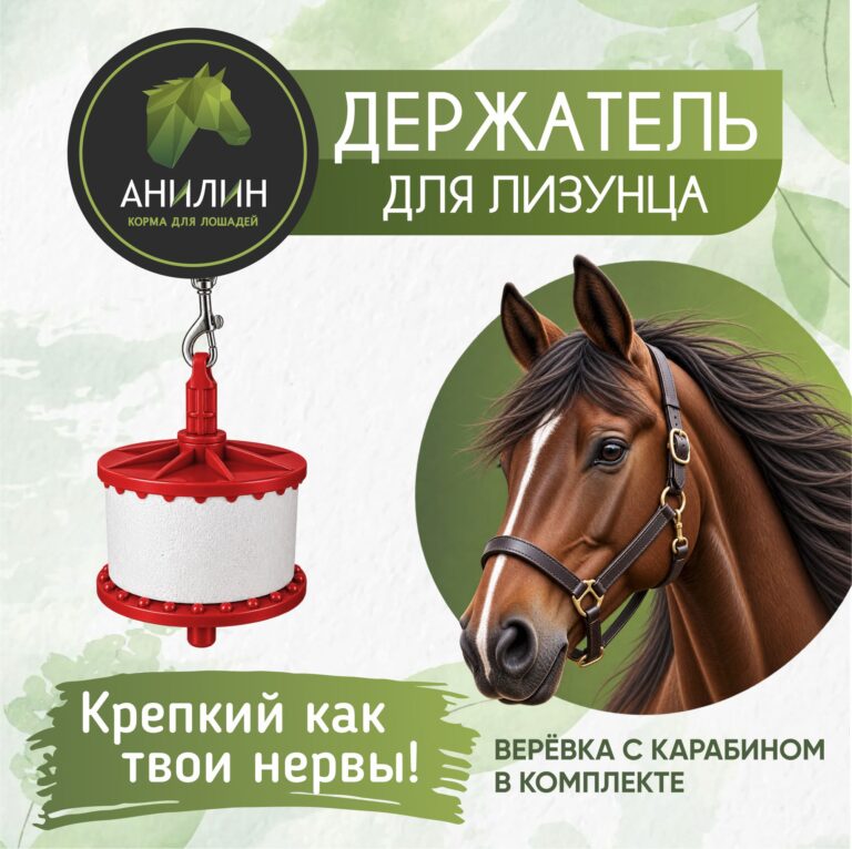 Держатель для лизунца. Анилин
