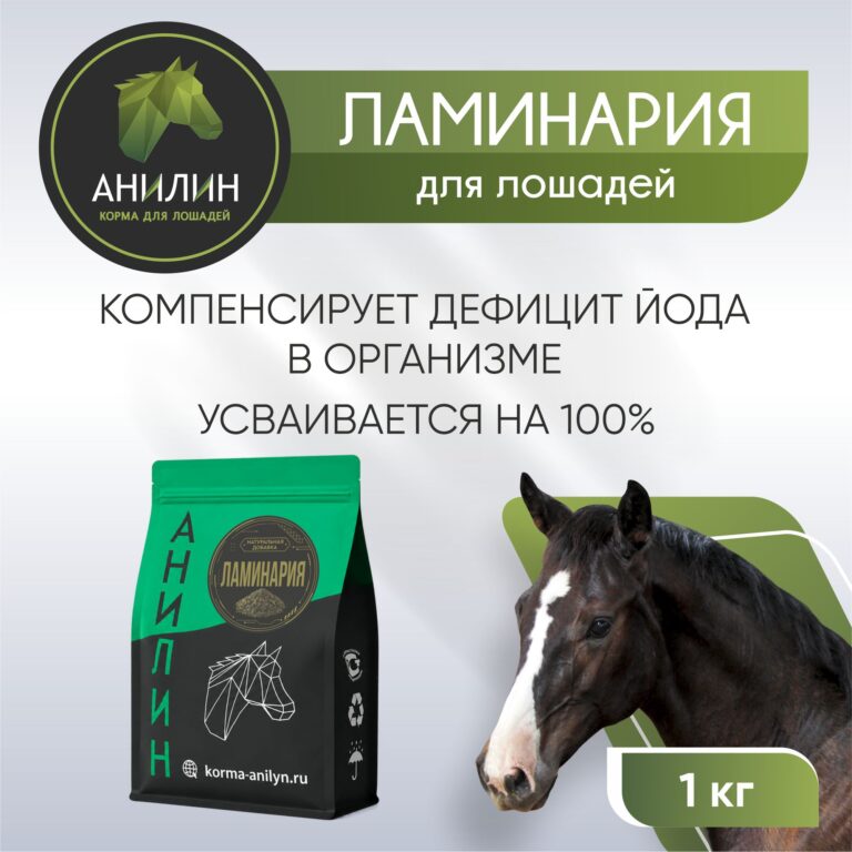 Ламинария 1