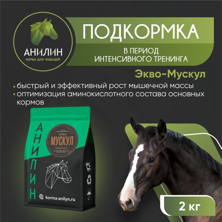 Мускул 1
