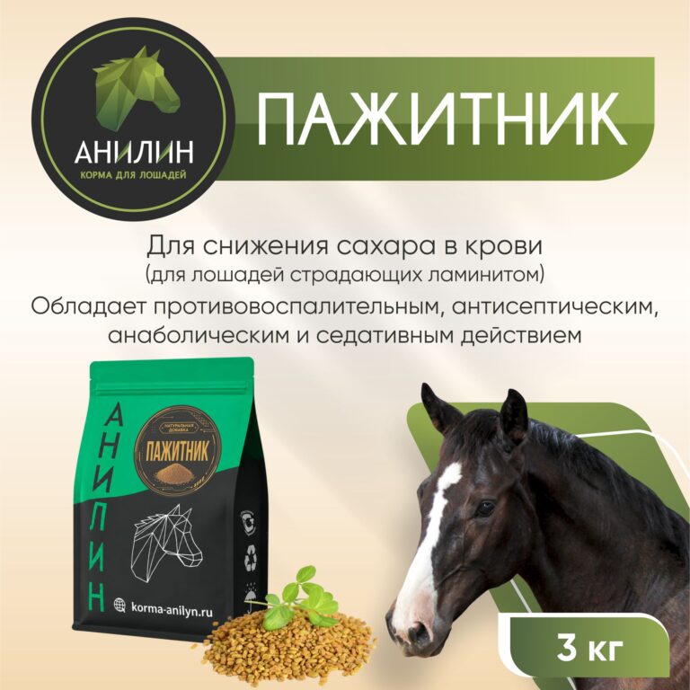 Пажитник 1