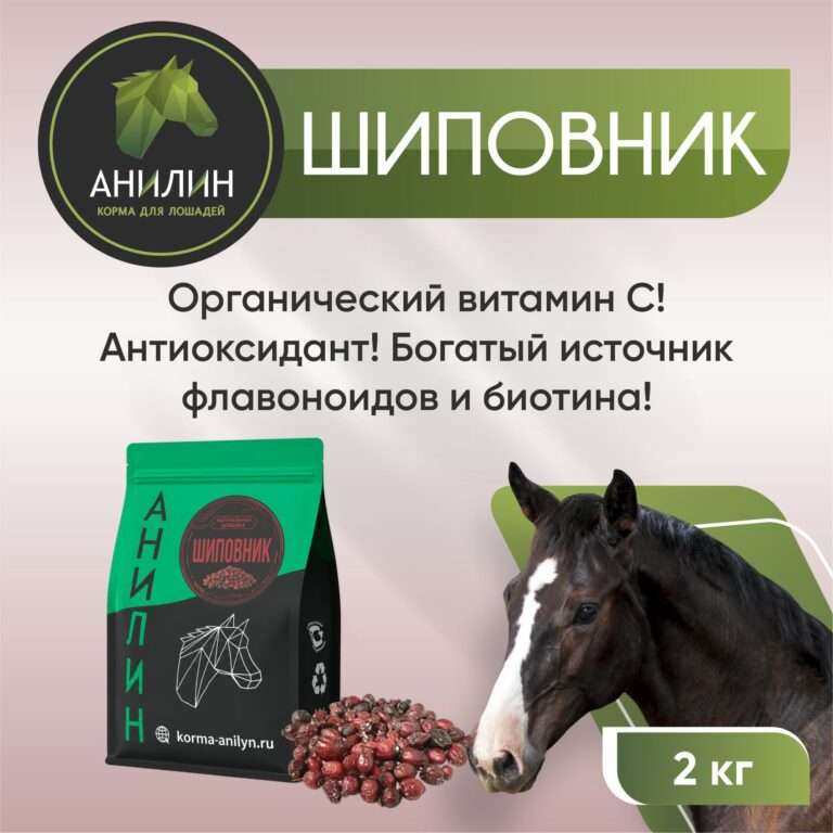 Шиповник 1