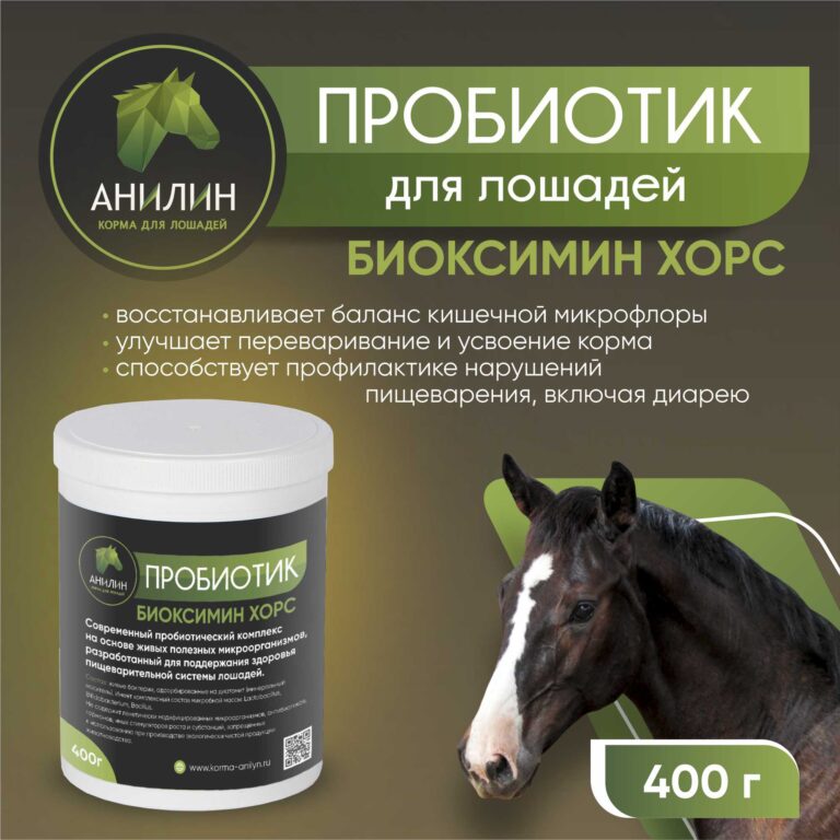 Пробиотик для лошадей. Анилин
